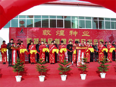敦煌種業(yè)果蔬制品有限公司建成投產