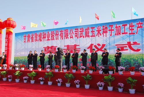 敦煌種業(yè)武威玉米種子加工廠生產(chǎn)線項(xiàng)目正式開(kāi)工建設(shè)