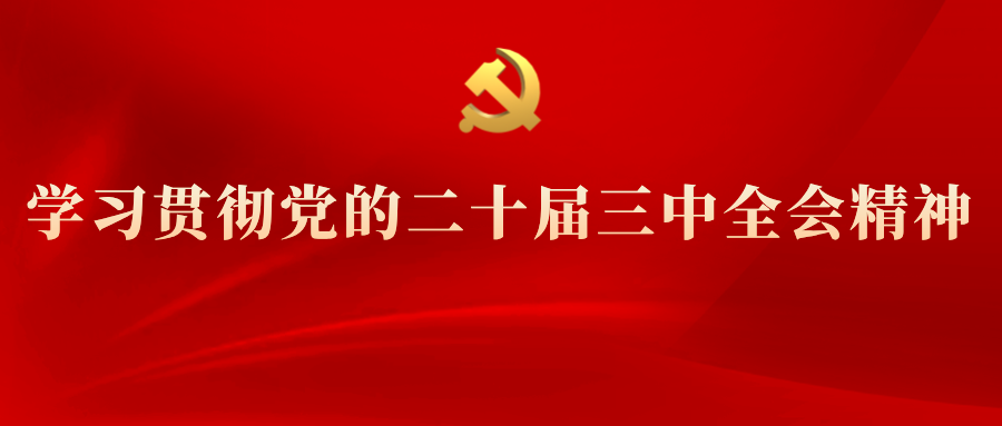 學(xué)習(xí)專欄 | 黨的二十屆三中全會精神解讀(四)